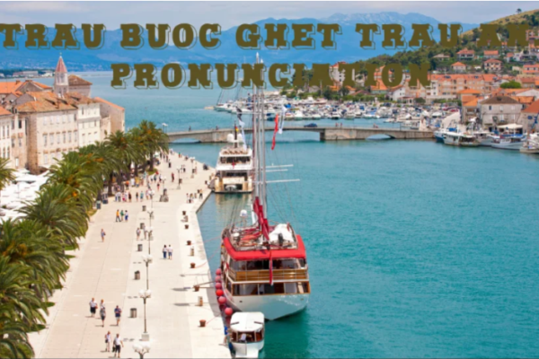 The article provides guidance on the pronunciation of "rau buoc ghet trau an" with insights into Vietnamese tones and language tips.