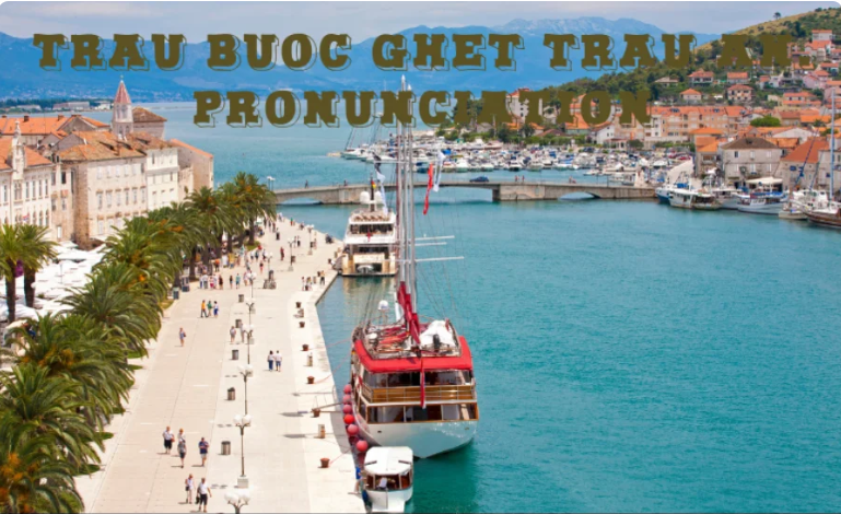 The article provides guidance on the pronunciation of "rau buoc ghet trau an" with insights into Vietnamese tones and language tips.